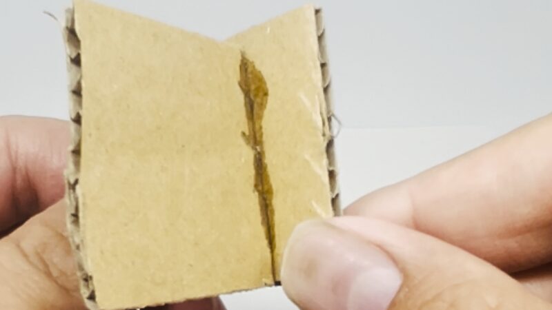 ダンボール接着後の外観(3000ゴールド スリム)